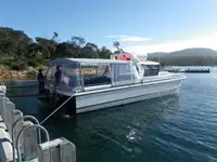 Catamarano in vendita