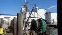 Peschereccio a strascico in vendita