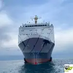 Nave Ro-Ro in vendita