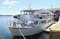 Nave passeggeri in vendita