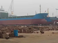 Portacontainer in vendita