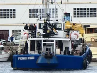 Imbarcazioni da lavoro in vendita