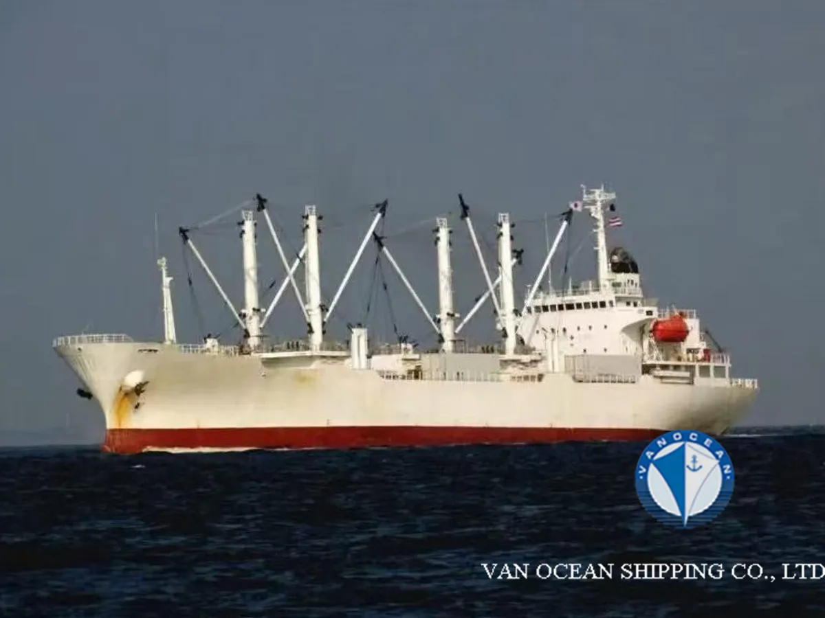 Nave refrigerata in vendita