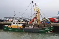 Trawler in vendita