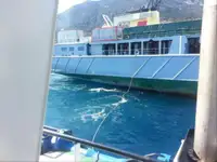Rimorchiatore in vendita