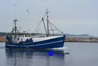 Nave per la lavorazione e la consegna del pesce in vendita