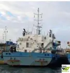Mezzo da sbarco, carro armato in vendita