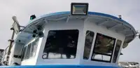 Catamarano in vendita