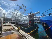Peschereccio a strascico in vendita