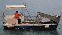 Barche da lavoro in vendita