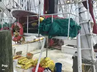 Peschereccio a strascico in vendita