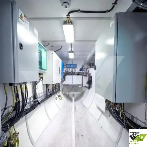 Nave da crociera in vendita