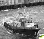 Nave di servizio per parchi eolici in vendita