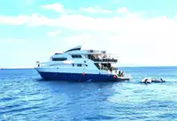 Supporto per le immersioni in vendita