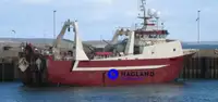 Grande peschereccio congelatore a strascico in vendita