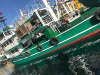 Peschereccio a circuizione in vendita