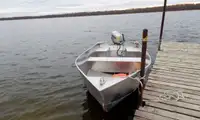 Barche da lavoro in vendita