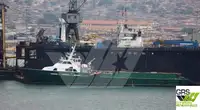 Piroga in vendita