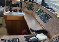 Trasportatore di merci sfuse in vendita
