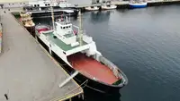 Nave Ro-Ro in vendita