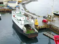 Nave Ro-Ro in vendita