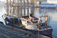 Portacontainer in vendita