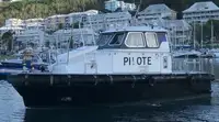 Pilota in vendita