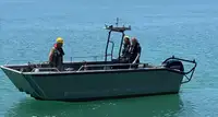 Mezzo da sbarco, carro armato in vendita