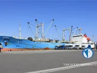 Nave reefer in vendita