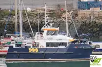 Nave di servizio per parchi eolici in vendita