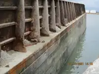 Chiatta in vendita