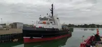 Rimorchiatore in vendita