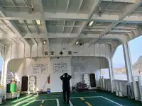 Nave Ro-Ro in vendita