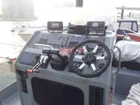 Nave da crociera in vendita