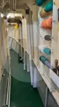 Trasportatore di pesce vivo in vendita