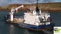 Barche da lavoro in vendita