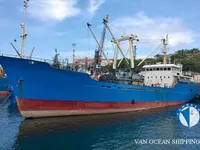 Nave refrigerata in vendita