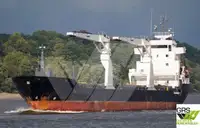 Trasportatore di merci sfuse in vendita
