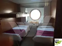 Nave da crociera in vendita
