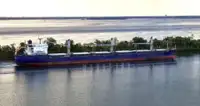Portarinfuse in vendita