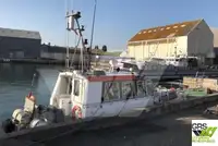 Barche da lavoro in vendita