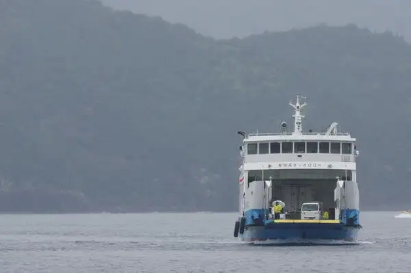 Nave Ro-Ro in vendita