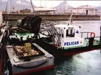 Chiatta in vendita