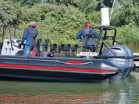 Portacontainer in vendita