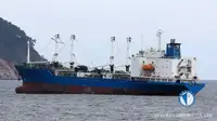 Nave refrigerata in vendita