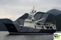 Barche da lavoro in vendita