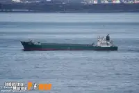 Trasportatore di merci sfuse in vendita