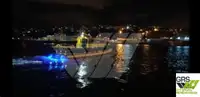 Nave di servizio per parchi eolici in vendita