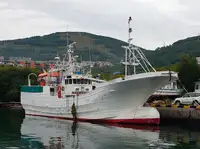 Trawler in vendita