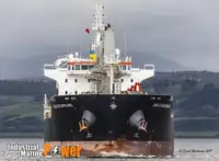 Trasportatore di merci sfuse in vendita